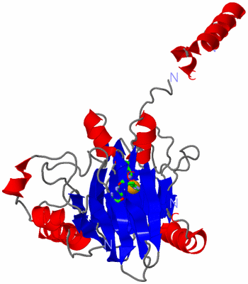 Image Asym. Unit - sites