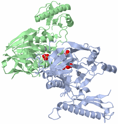 Image Asym./Biol. Unit