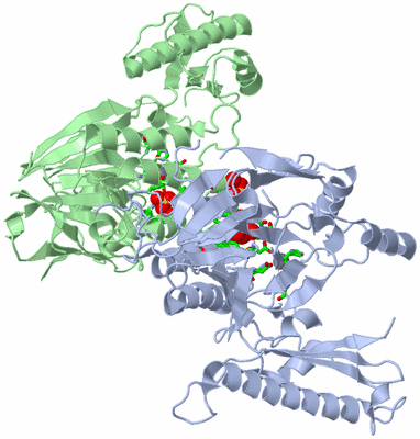 Image Asym./Biol. Unit - sites