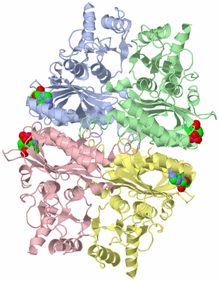 Image Asym./Biol. Unit