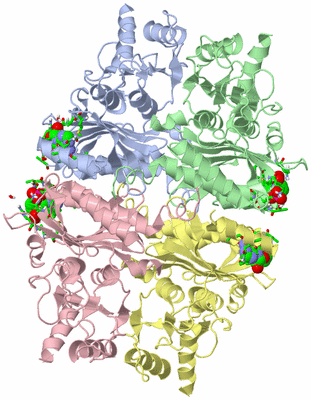 Image Asym./Biol. Unit - sites