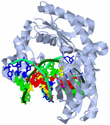 Image Biological Unit 1