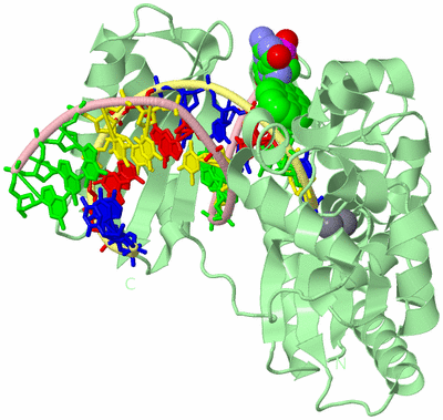 Image Biological Unit 2