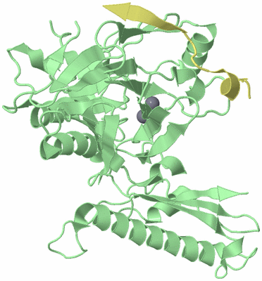 Image Biological Unit 2