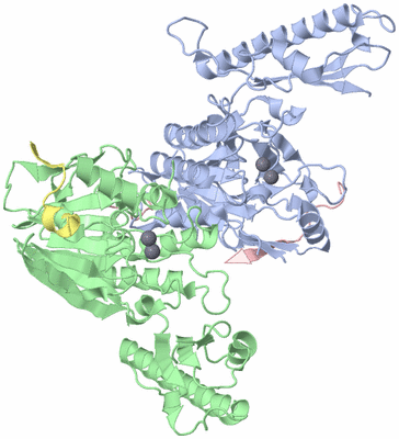 Image Biological Unit 3