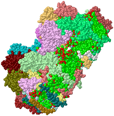 Image Asym./Biol. Unit - sites