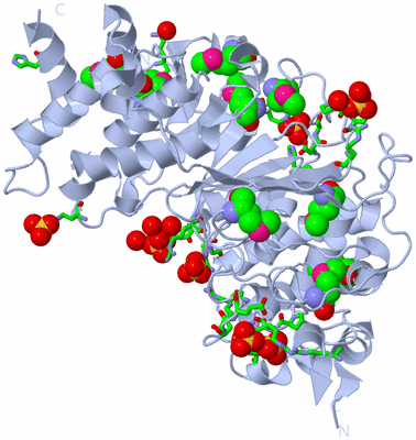 Image Biol. Unit 1 - sites