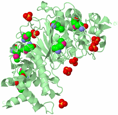 Image Biological Unit 2