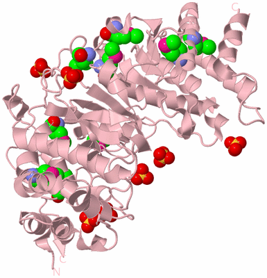 Image Biological Unit 3