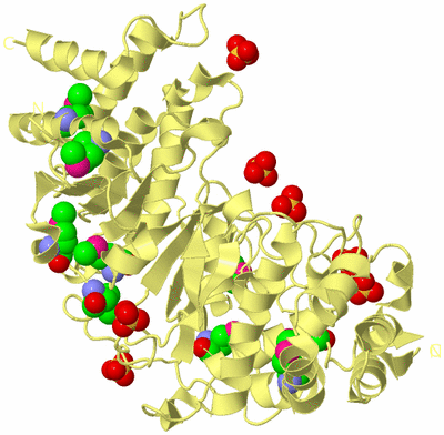 Image Biological Unit 4