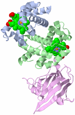 Image Biological Unit 1