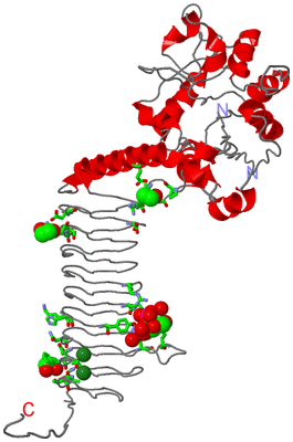 Image Asym. Unit - sites