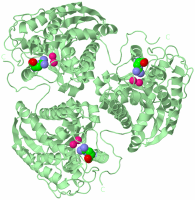 Image Biological Unit 2