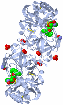 Image Biological Unit 2