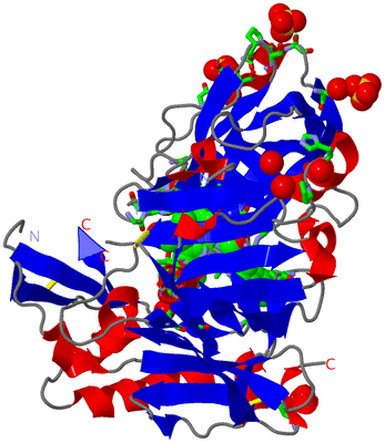 Image Asym. Unit - sites