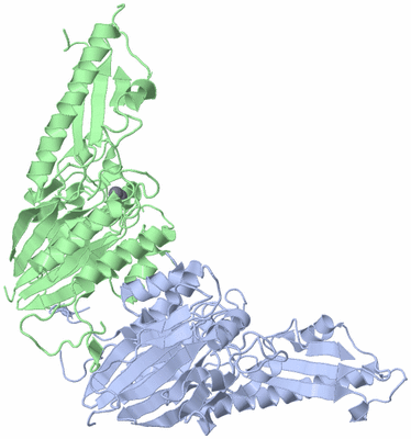 Image Biological Unit 1