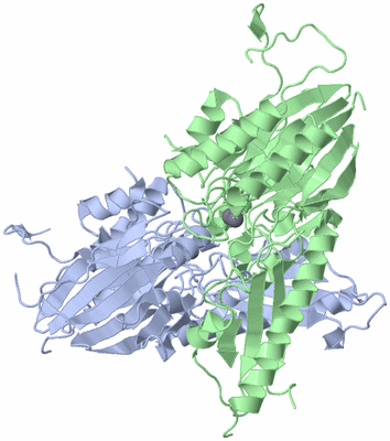 Image Biological Unit 2