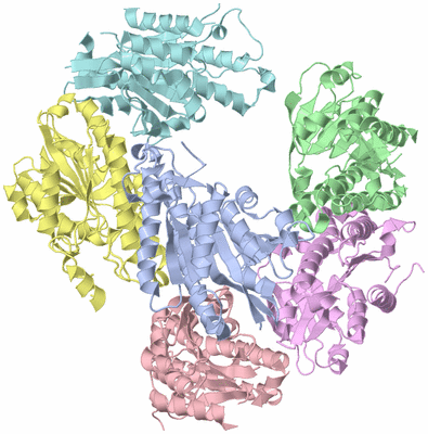 Image Asymmetric Unit