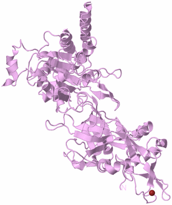 Image Biological Unit 5