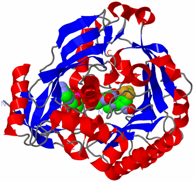 Image Asym./Biol. Unit