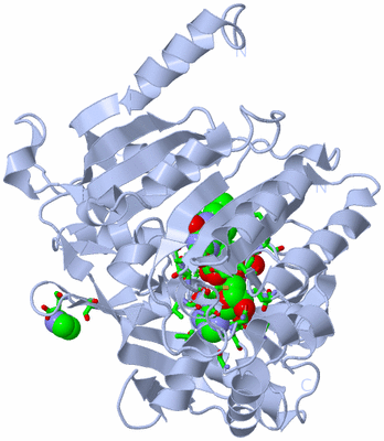 Image Biol. Unit 1 - sites