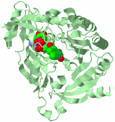 Image Biological Unit 2