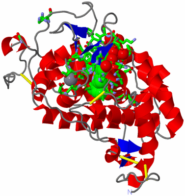 Image Asym./Biol. Unit - sites