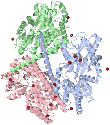 Image Asym./Biol. Unit