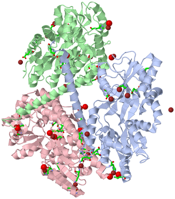 Image Asym./Biol. Unit - sites