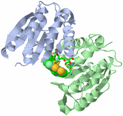 Image Asym./Biol. Unit - sites