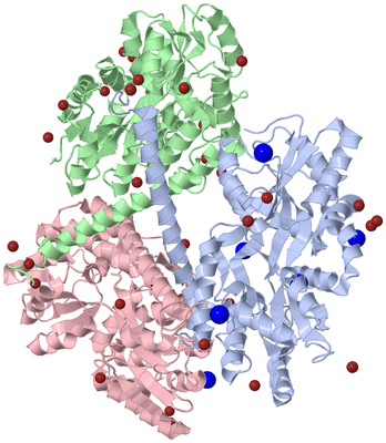 Image Asym./Biol. Unit