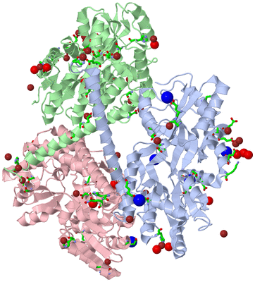 Image Asym./Biol. Unit - sites