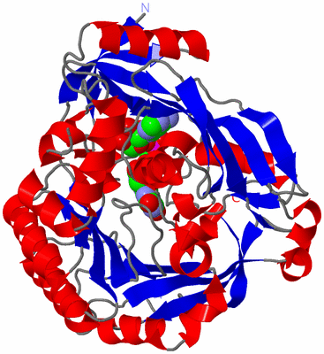 Image Asym./Biol. Unit