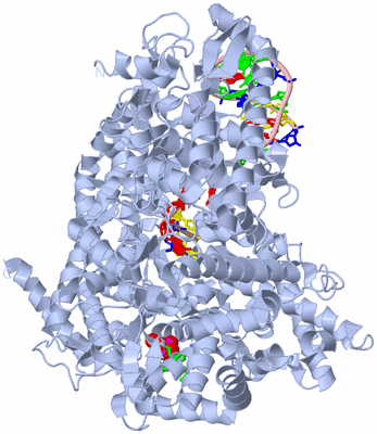 Image Biol. Unit 1 - sites