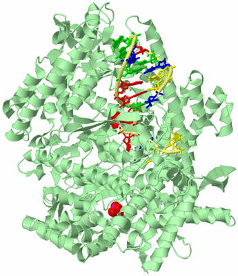 Image Biological Unit 2