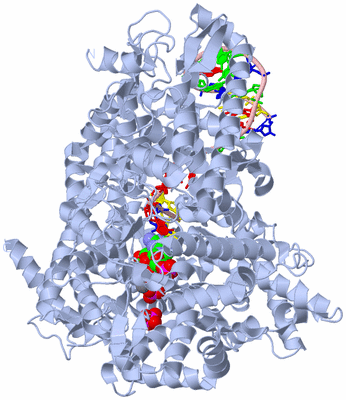 Image Biological Unit 1