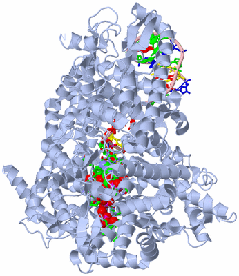 Image Biol. Unit 1 - sites