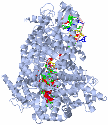 Image Biol. Unit 1 - sites