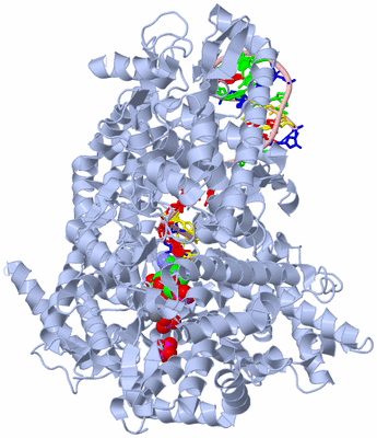 Image Biological Unit 1