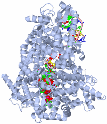 Image Biol. Unit 1 - sites