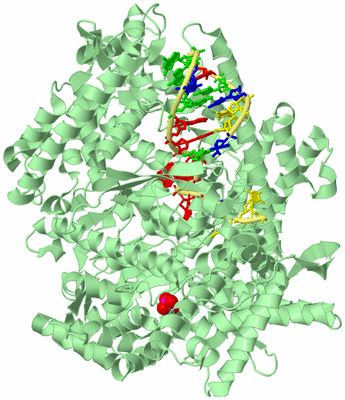 Image Biological Unit 2