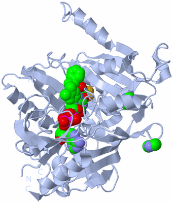 Image Biological Unit 1