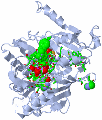 Image Biol. Unit 1 - sites