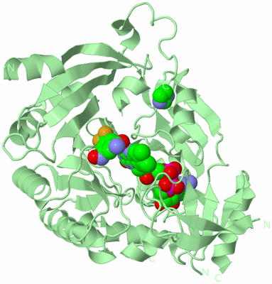 Image Biological Unit 2