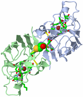 Image Asym./Biol. Unit - sites