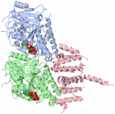 Image Asym./Biol. Unit