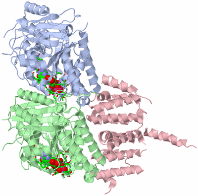 Image Asym./Biol. Unit - sites