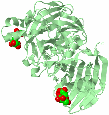 Image Biological Unit 2