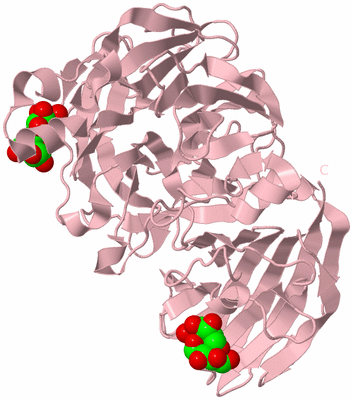 Image Biological Unit 3