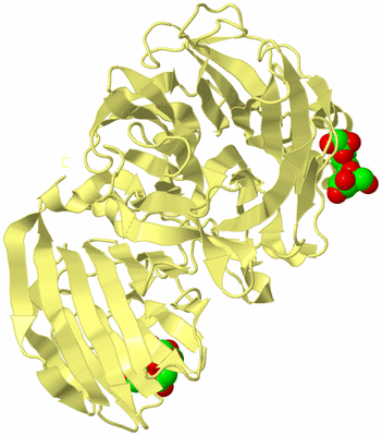 Image Biological Unit 4